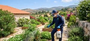 הדברה אקולוגית וירוקה - טיפול טבעי ובטוח נגד מזיקים בבית