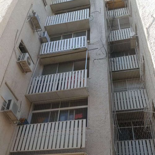 הרחקת יונים - מדביר הצפון